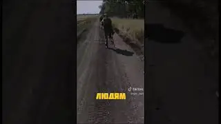Командиры ВСУ выжимают последние соки из своих солдат?!