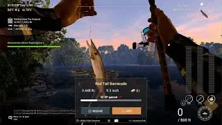 Fishing Planet Red Tail Barracuda Amazonian Maze
