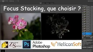 comparatif logiciels pour le focus stacking. Photoshop, Zerene Stacker ou Helicon Focus