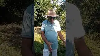 piada da hora