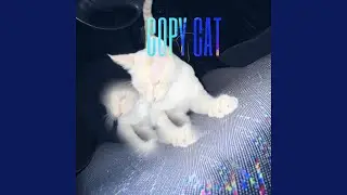 Copy Cat