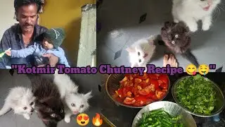 Ghar Ki Fresh Kotmir Tomato Chutney Recipe 😋 | Village Style Cooking|| #newvlog
