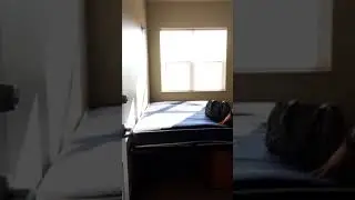 Joey dorm 2017