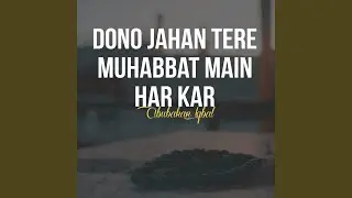 Dono Jahan Tere Muhabbat Main Har Kar