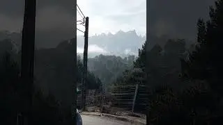 Niebla misteriosa y sol 🫡 