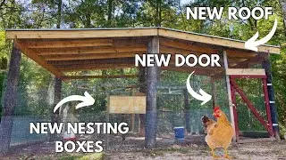 Chicken Coop Rebuild - Metal Roof