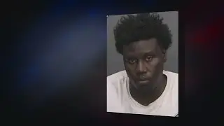 USF coach is shocked, angry after player's arrest