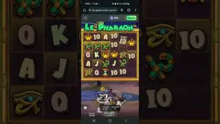 Insane Le Pharaoh multiplier win! NO BONUS BUY