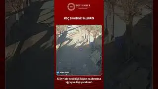 Silivri'de beslediği ko&ccedil;un saldırısına uğrayan kişi yaralandı