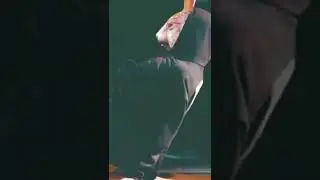 Martin Garrix~ Animals🔥