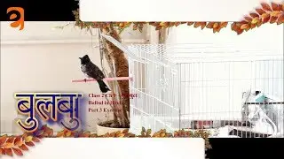 Class 2 Ch 9 &ndash; बुलबुल | Bulbul in Hindi Part 3 Exercise