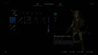 Breath of the Wild Master mode DEATHLESS / NO FAIRY attempt!