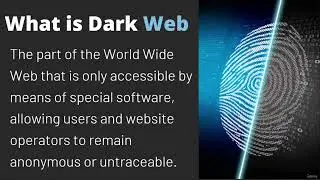 Exploring the Dark Web: Anonymity & Untraceability in the Digital Age