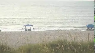Tony Silvagni Surf School Hamlet  Ave. Surf Cam