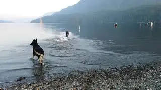 Nimpkish Lake during a heat wave!