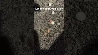 I will spoil you