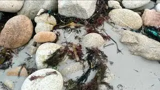 A liña verde da Costa da Morte