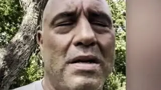 Joe Rogan Takes Ivermectin After Testing Positive For COVID