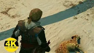 Assassins Creed Black Flag:Hunting Wildlife | Gameplay ( No Commentary)