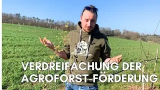 Update: Verdreifachung der Agroforst-Förderung