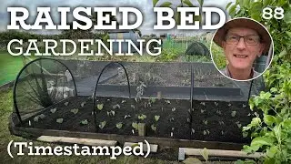 Raised Bed Gardening - do this now for a bountiful harvest
