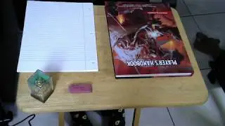 ASMR / DnD Set Up / NO TALKING // Page turning, writing, unintentional asmr