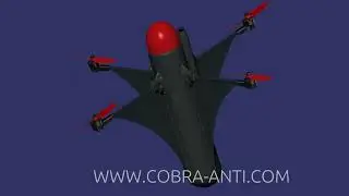 Concept of the Counter Uav Complex