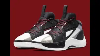 Jordan Zoom Separate Sneakers Detailed Look