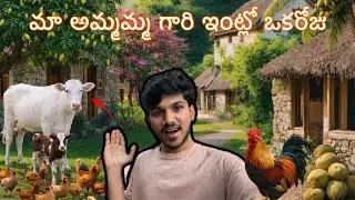 మా అమ్మమ్మ గారి ఇంట్లో ఒకరోజు | Day in my grand mother village | 🐄🌴🐓