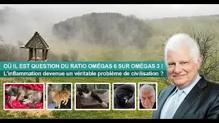 OÙ IL EST QUESTION DU RATIO OMÉGAS 6 SUR OMÉGAS 3 !