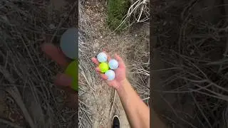 Законно ли забирать потерянные мячи для гольфа?