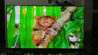 mi tv horizon edition Tv  #mitv picture quality