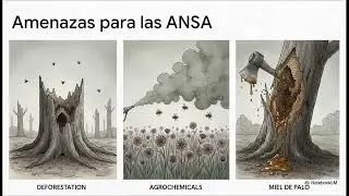 Abejas Sin Aguijón de Argentina