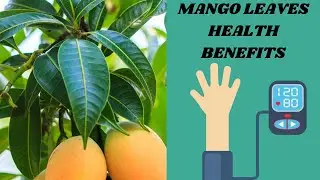 Mango Leaf Tea: Unlocking Its Health Secrets