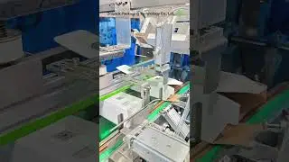 Automatic Cartoning Machine for Snap Lock Bottom Box