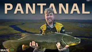 From the Amazon to the Pantanal: The New Adventure Is ON! - PART  01