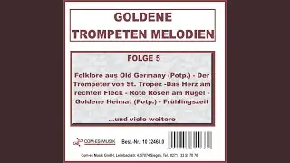Das Herz am rechten Fleck