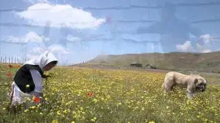 ترانه بسیار دلنشین تالشی بانو ماری بیابانگرد ماسوله