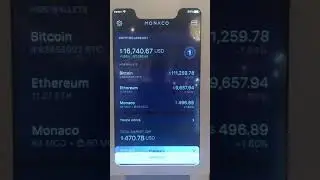 Monaco Card App presentation