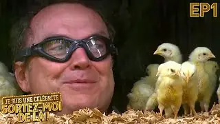Julien Lepers Recouvert de Poussins - Je suis une C&eacute;l&eacute;brit&eacute;, Sortez-Moi de L&agrave; ! - &Eacute;pisode 1