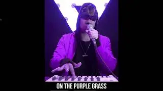 Sickick - Purple Grass