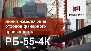 Рубительный комплекс для измельчения древесных отходов РБ-55-4К для Рязанского Фанерного Завода