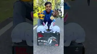 2 ta Remote Control Rabbit and Snake 😂👍