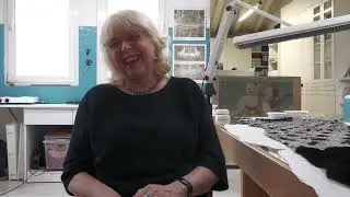 Irene Tomedi - Restauratrice tessile | Textilrestauratorin