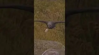 It's an omen 💀 #bellwrightgameplay #indiegame #earlyaccessgames #medievalgames