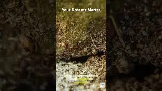 Your Dreams Matter #inspirational #inspiration #motivational #motivationalvideo #smiling #dreams