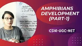 Amphibian Development || Embryonic Development in Amphibians {Part-1}