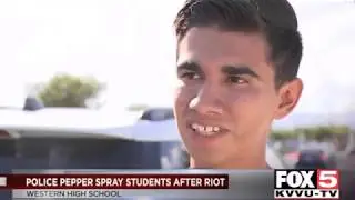 Large scale black mob violence in schools  And one reporter actually calls it a RACE RIOT?