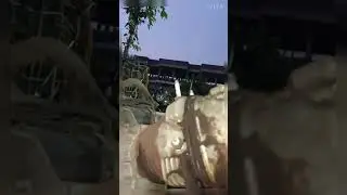 Engine Cam Bearing noise.(ACTIVA).