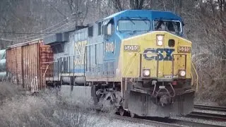 CSX Pipe Train
